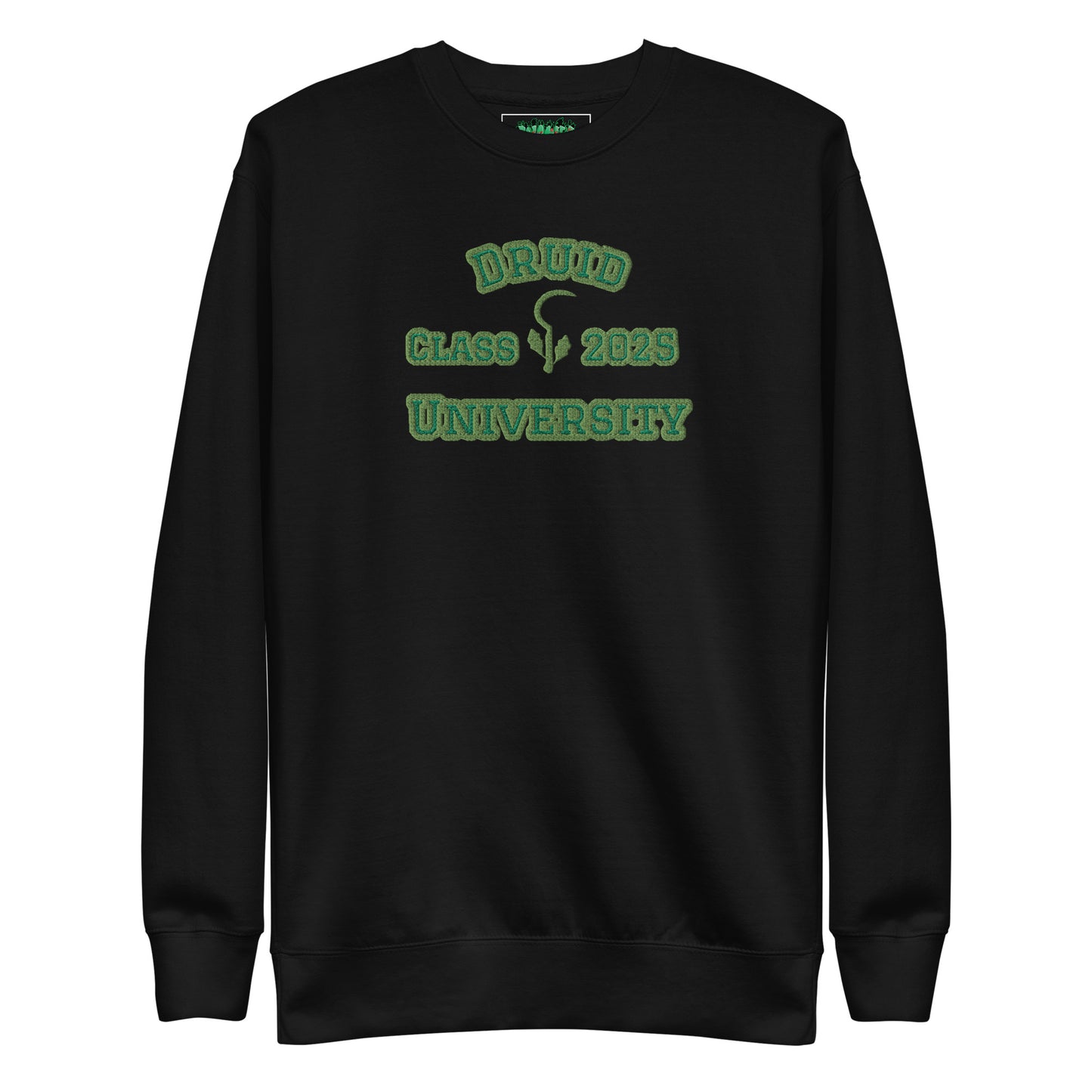 Druid Class of 2025 Sweatshirt | Gnomies Clothing