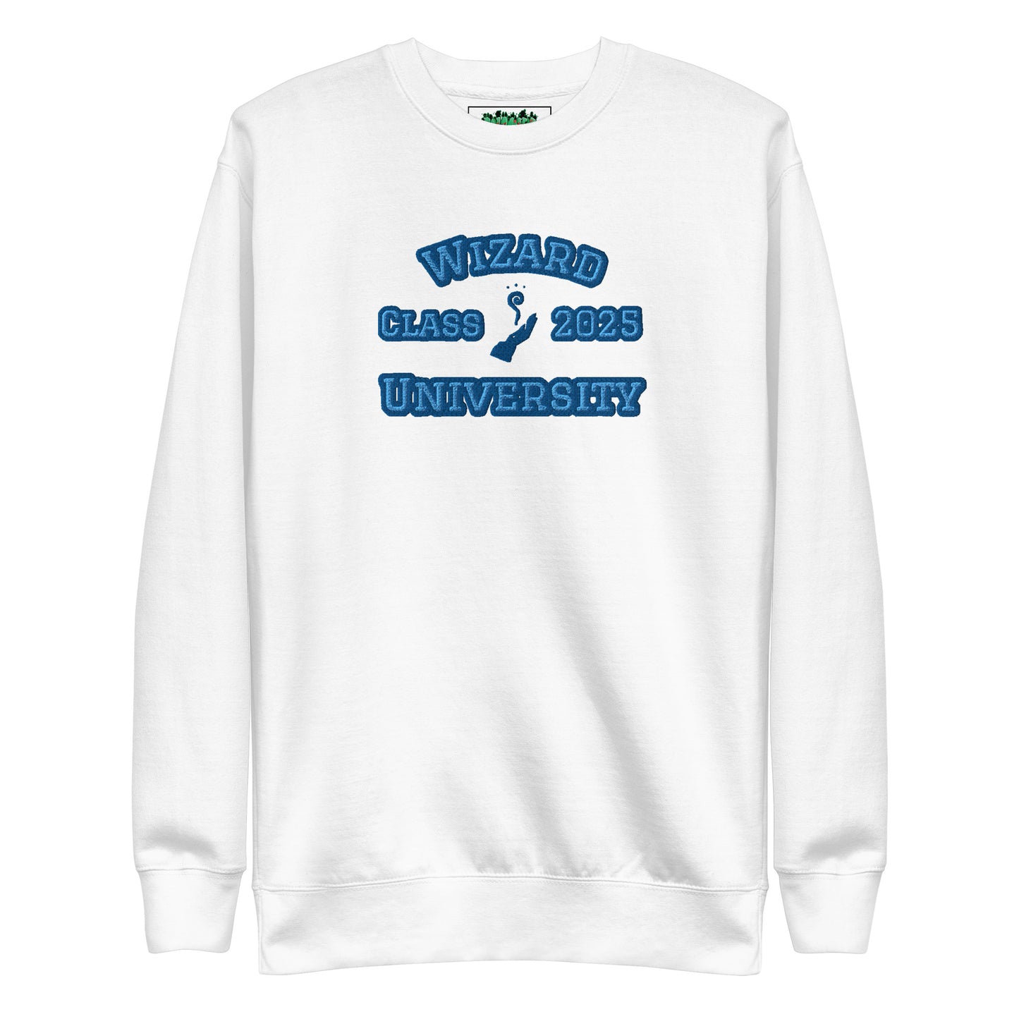 Wizard Class of 2025 Sweatshirt | Gnomies Clothing