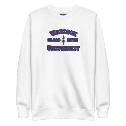 Warlock Class of 2025 Sweatshirt | Gnomies Clothing